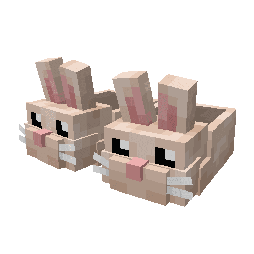 Bunny Shoes V2