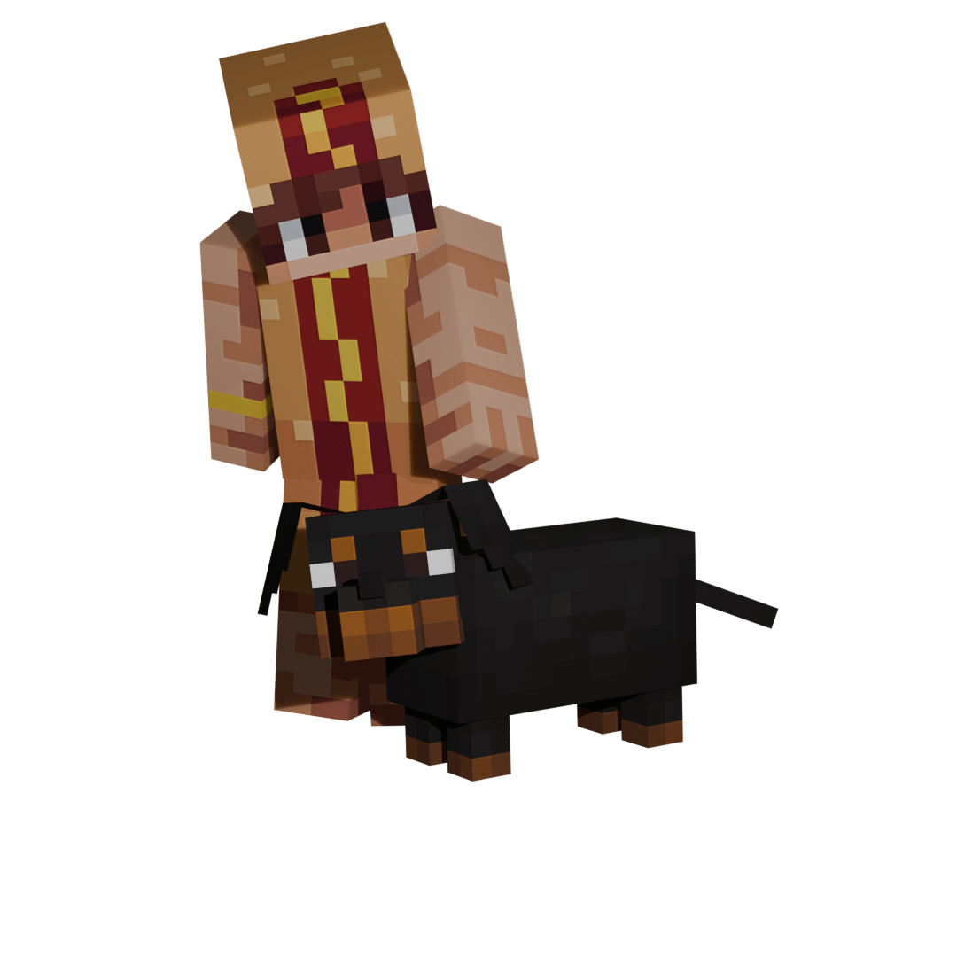 Dachshund