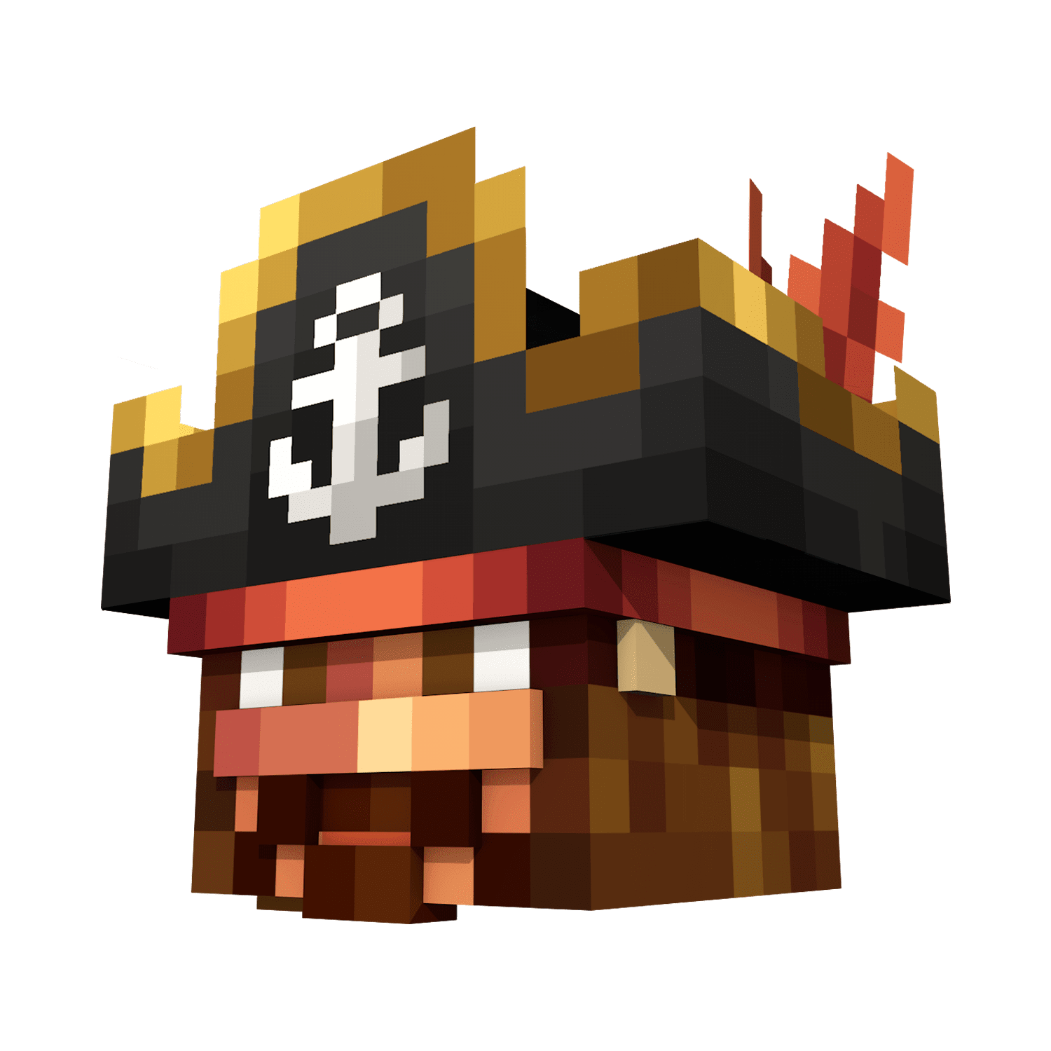 Pirate Hat