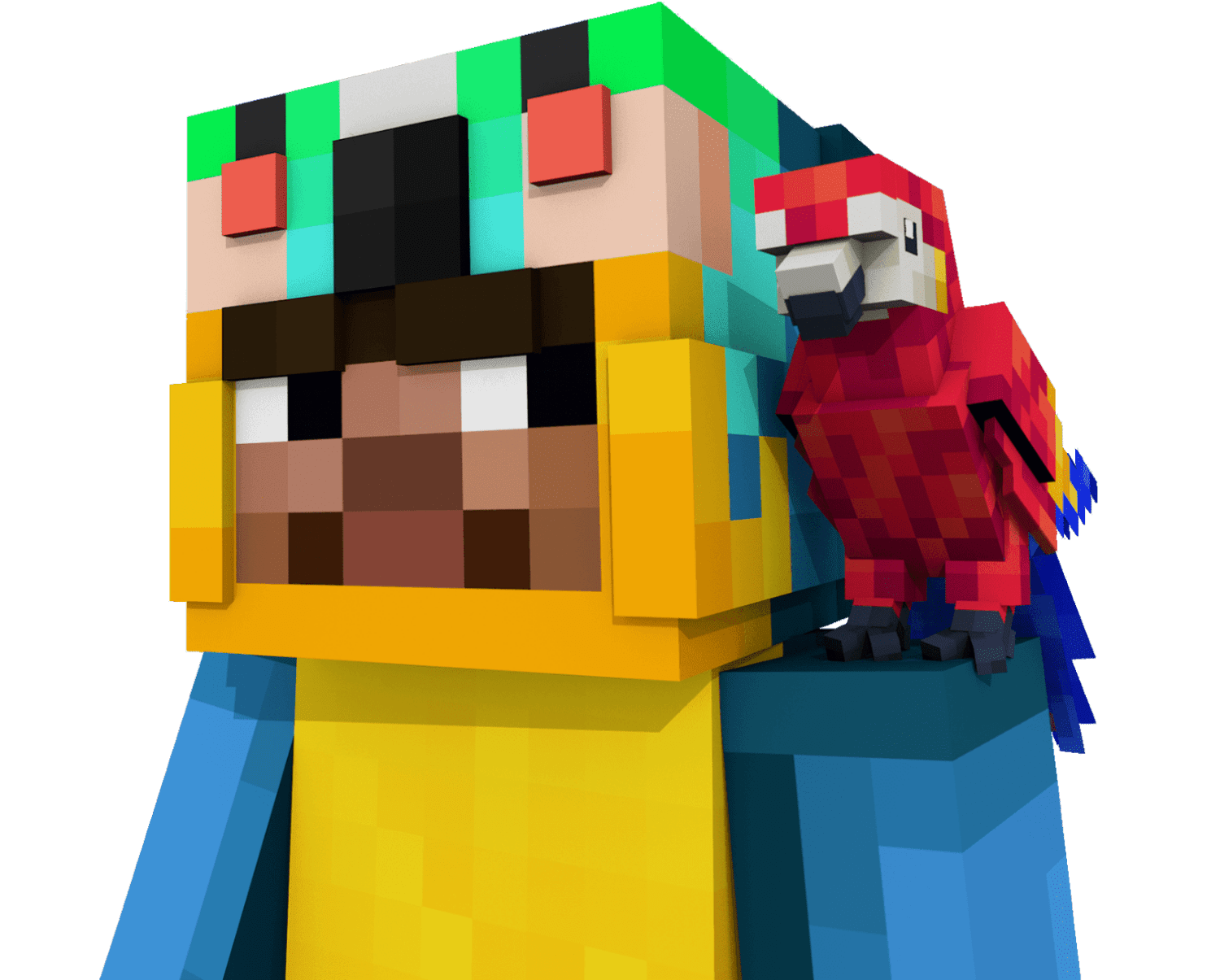 Pirates Parrot