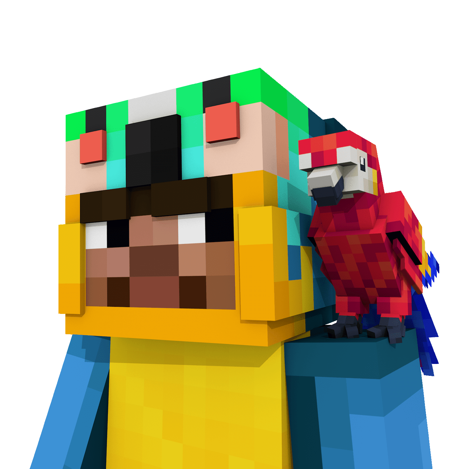 Pirates Parrot