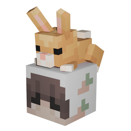 Plush Bunny