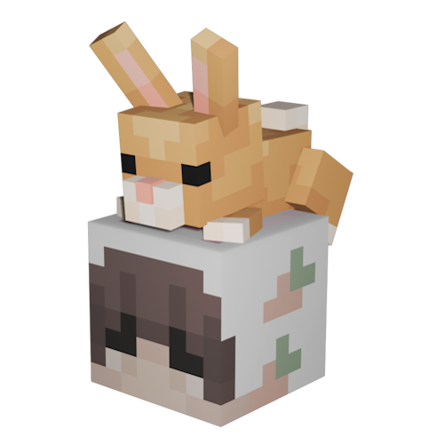 Plush Bunny