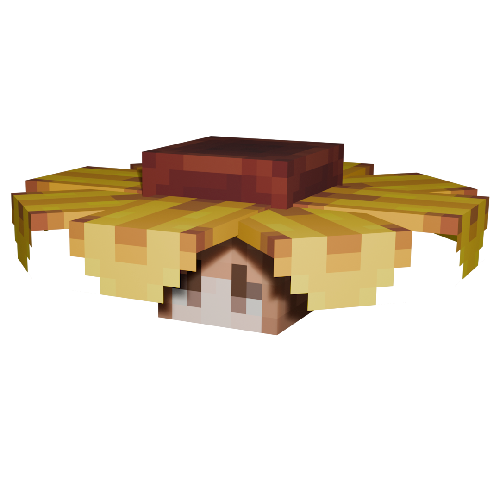 Sunflower Hat