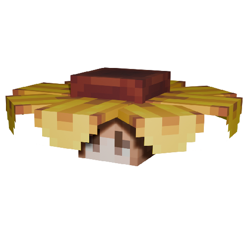 Sunflower Hat